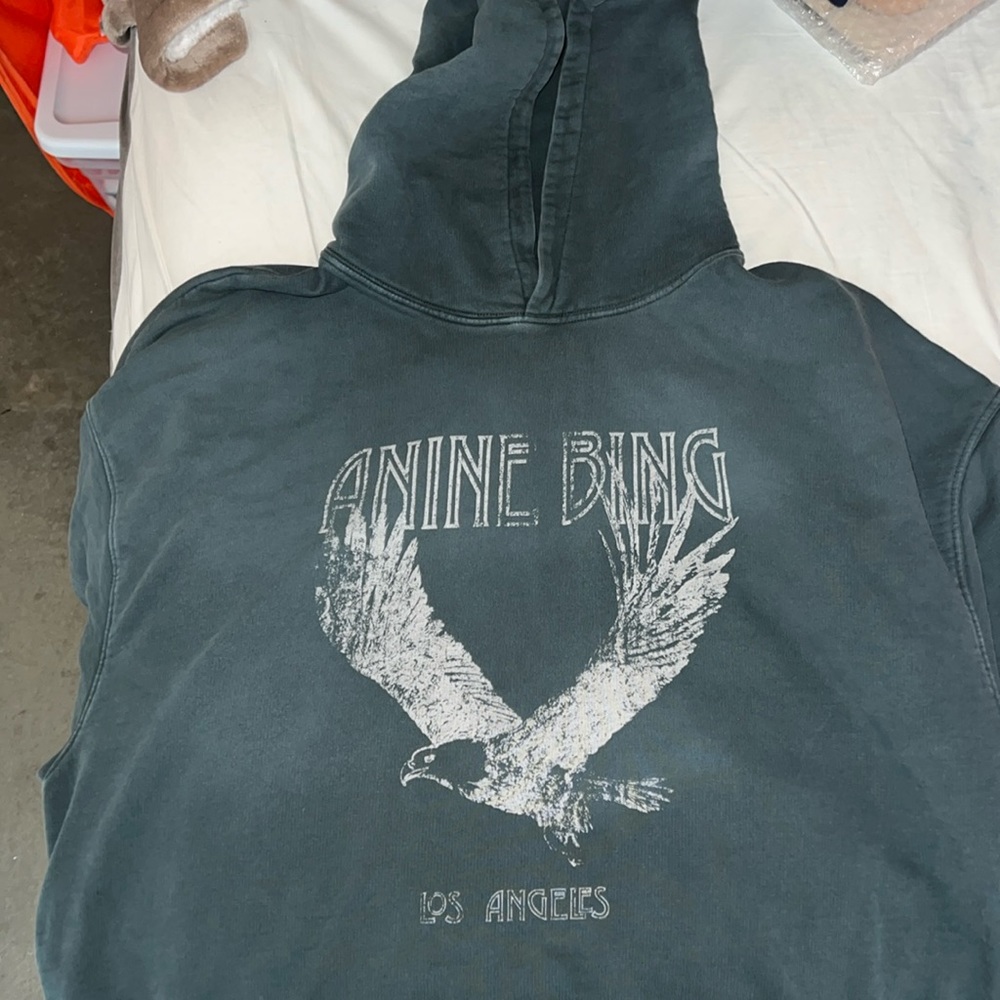 Anine Bing eagle hoodie